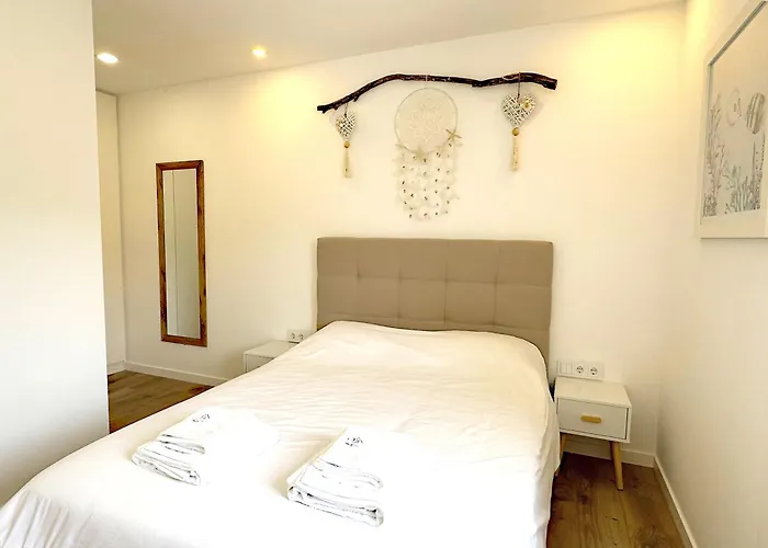 Casa Do Cato Semesterbostad Viana do Castelo