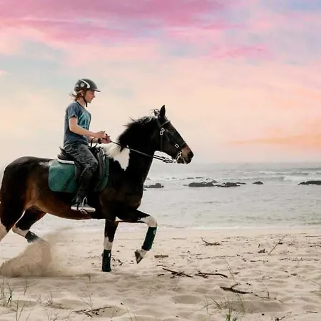 Casa Do Cato Βιάνα ντο Καστέλο