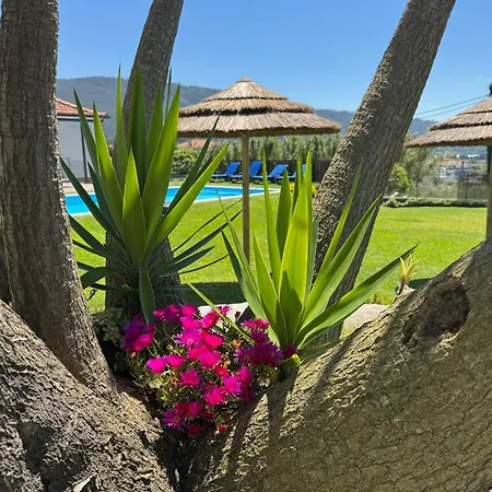 Holiday home Casa Do Cato Viana do Castelo