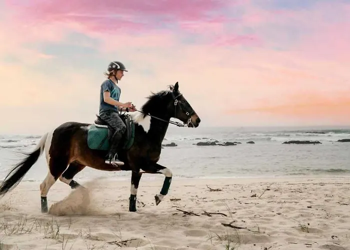 Casa Do Cato 비아나도카스텔로