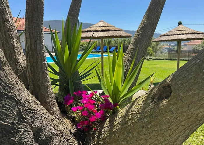 Feriehus Casa Do Cato Viana do Castelo